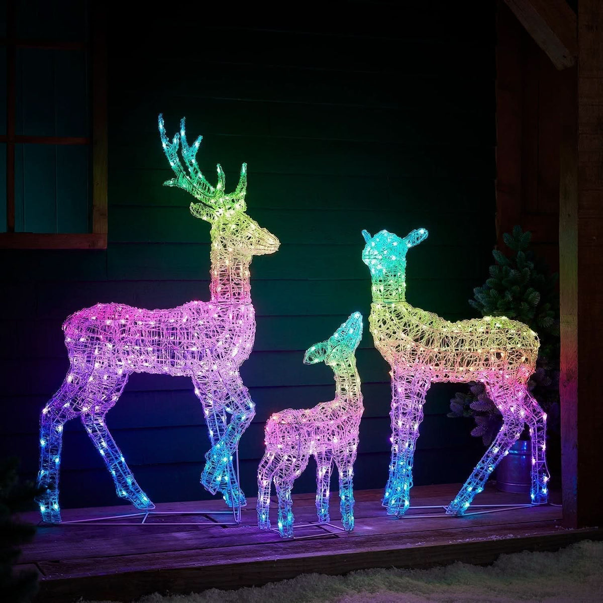 Conjunto de Renas Iluminadas…
