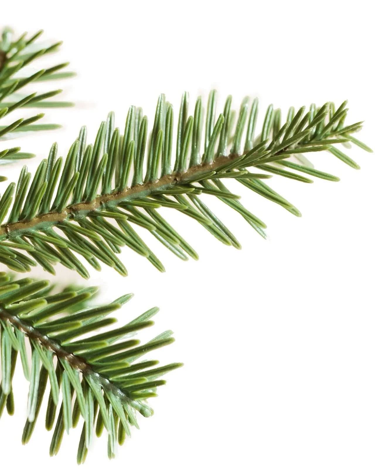 Árvore de Natal Slim Alpine…