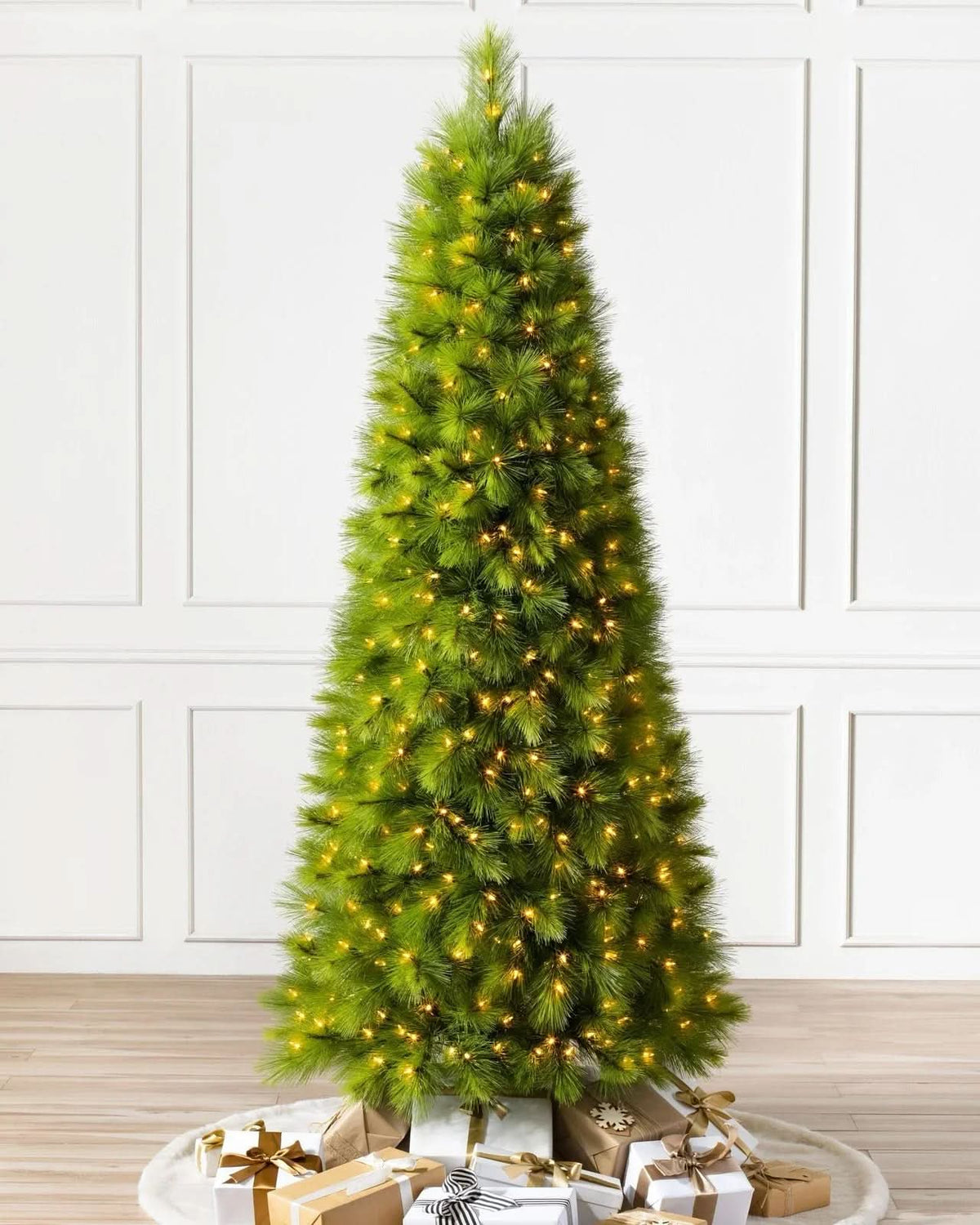 Árvore de Natal Monterey Pine…