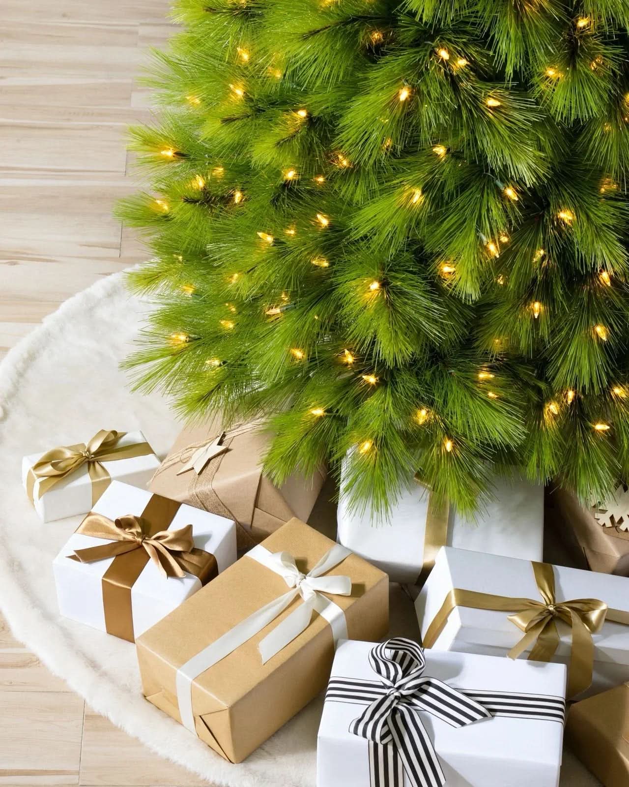 Árvore de Natal Monterey Pine…