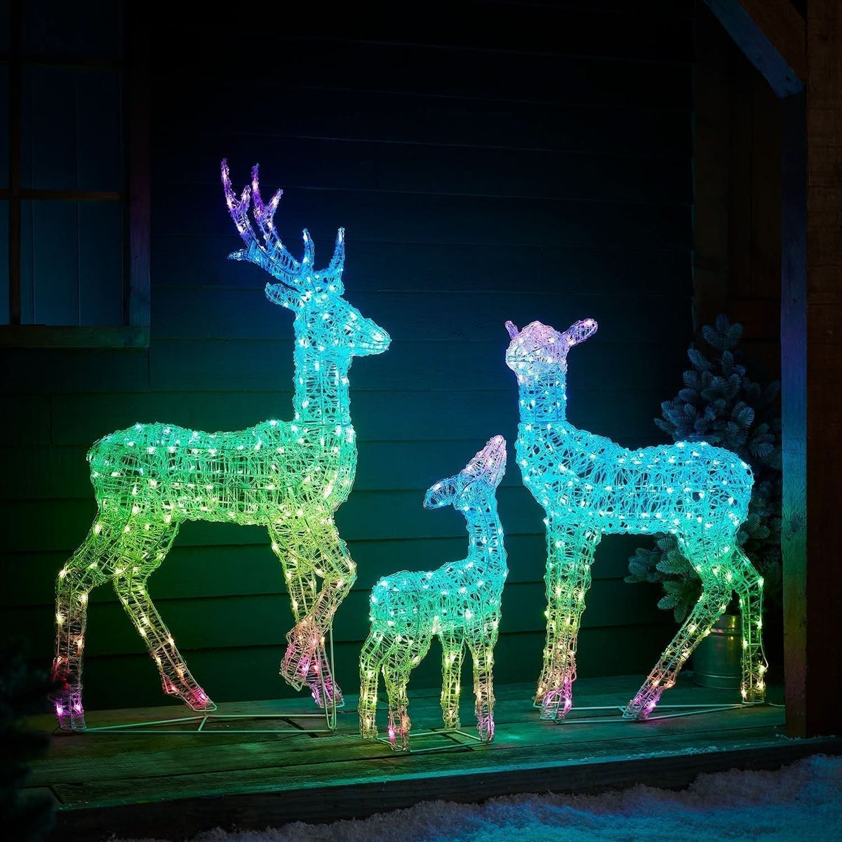 Conjunto de Renas Iluminadas…