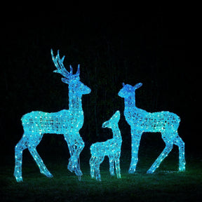 Conjunto de Renas Iluminadas…