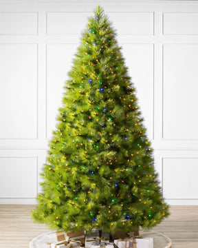 Árvore de Natal Verde Monterey…