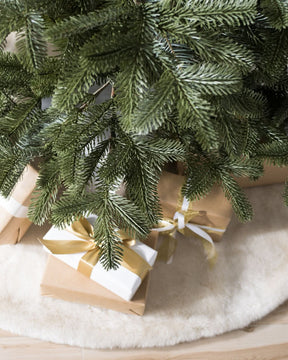 Árvore de Natal European Fir…