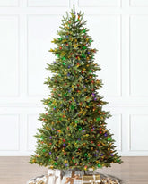 Árvore de Natal Norway Spruce…