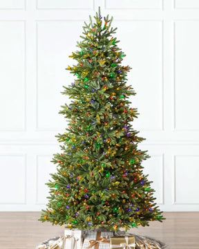 Árvore de Natal Norway Spruce…