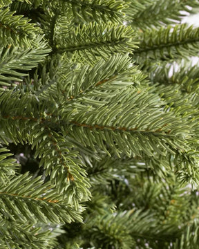 Árvore de Natal Norway Spruce…