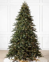 Árvore de Natal California…