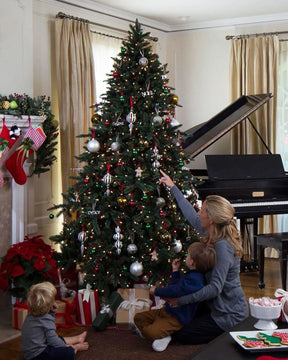 Árvore de Natal California…