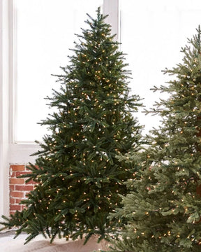 Árvore de Natal California…