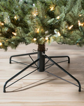 Árvore de Natal White Spruce…