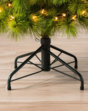 Árvore de Natal Monterey Pine…