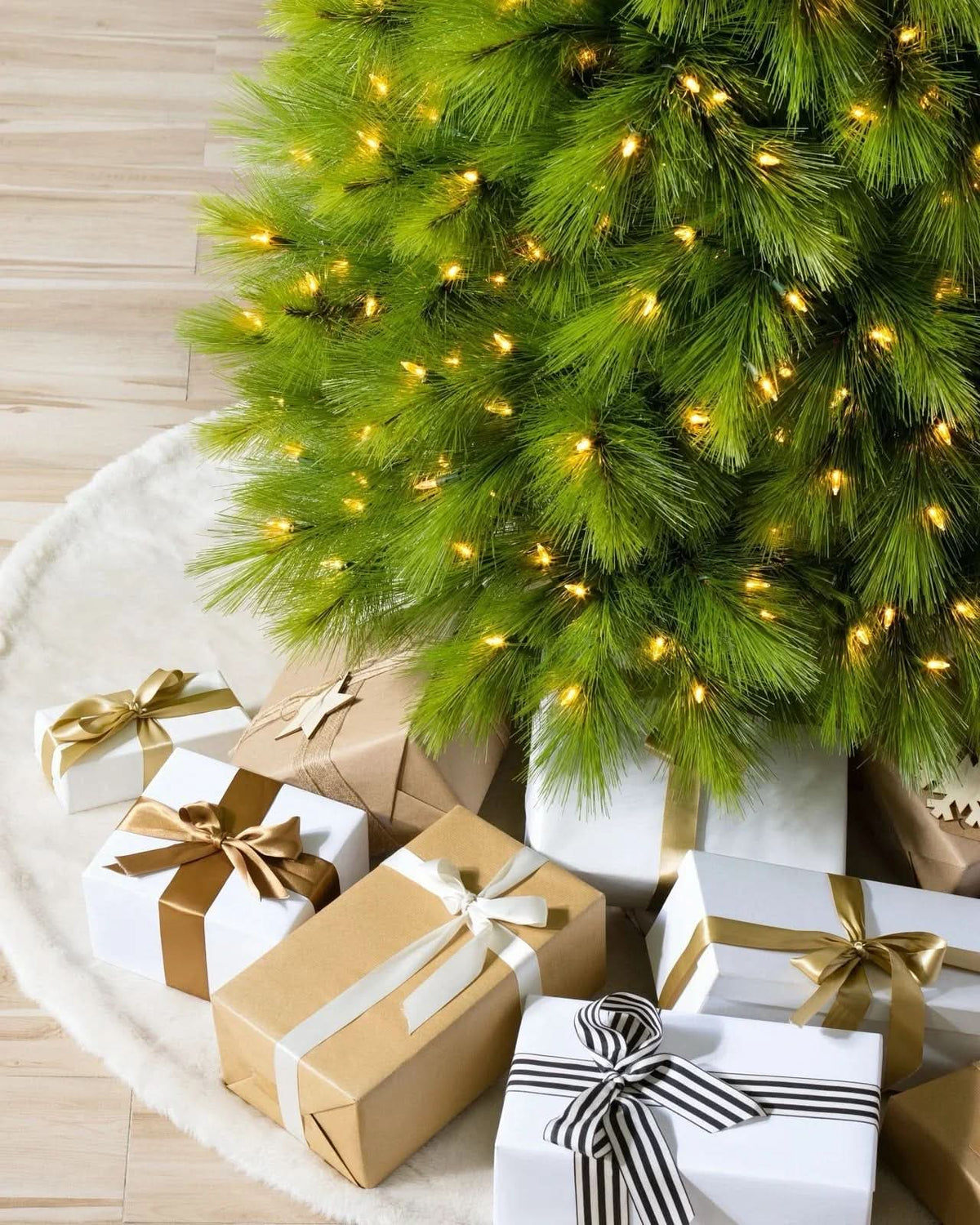 Árvore de Natal Monterey Pine…