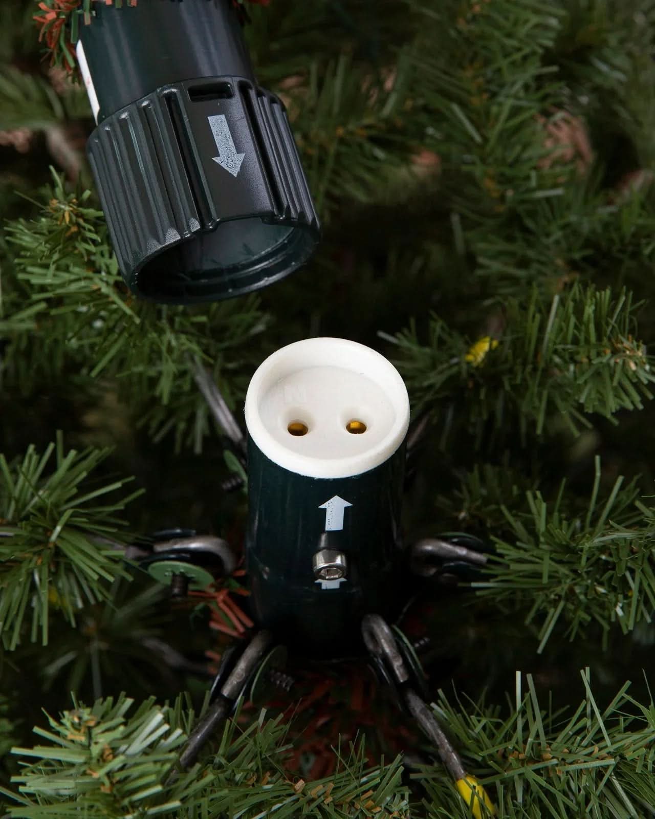 Árvore de Natal Fraser Fir com…