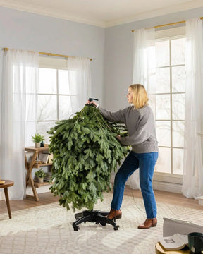 Árvore de Natal Verde Premium…