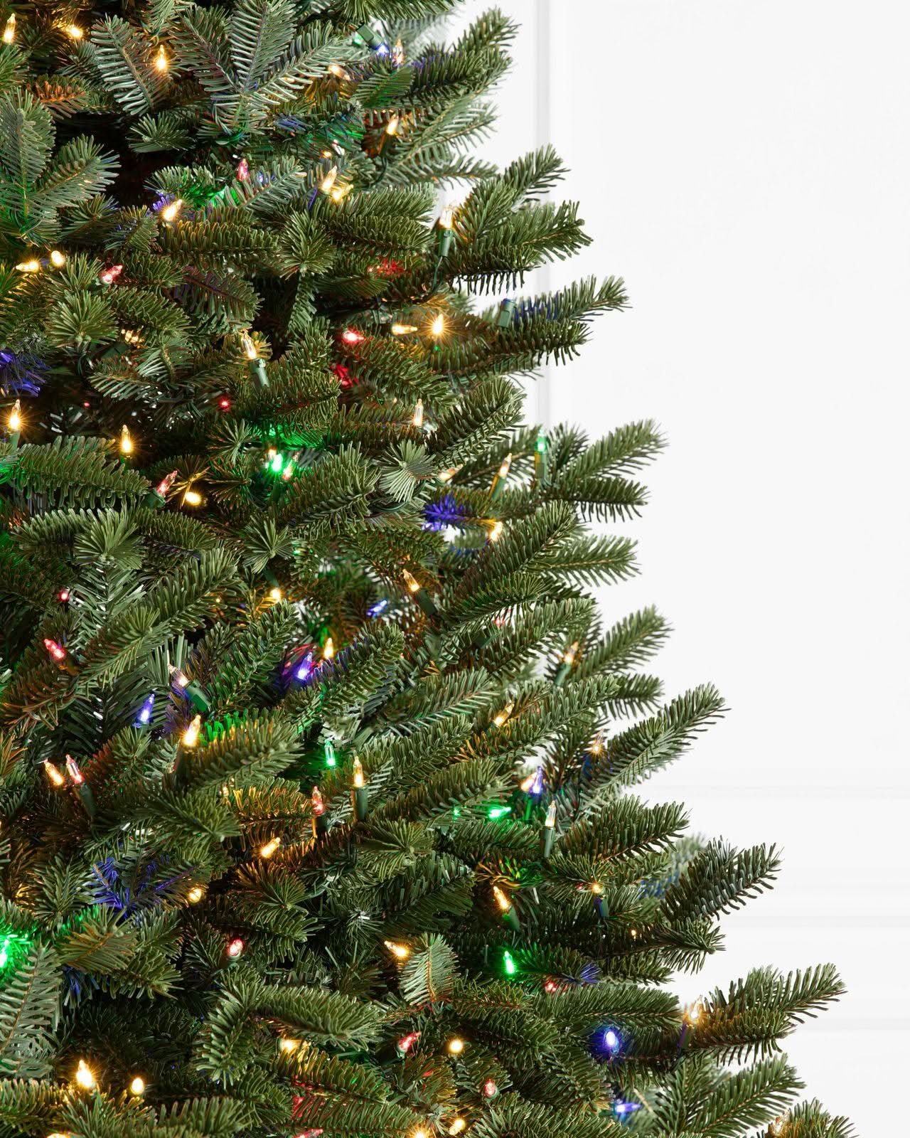 Árvore de Natal Fraser Fir com…