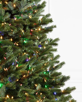 Árvore de Natal Fraser Fir com…
