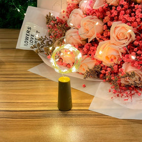 Luzes de garrafa de LED…